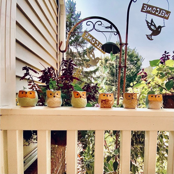 3 Brand New Mini Owl🦉Planters, Great for Mini Live or Faux Succulents or Whatev - Picture 7 of 16